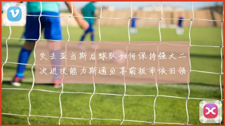 失去亚当斯后球队如何保持强大二次进攻能力斯通分享前板率依旧领先的秘诀