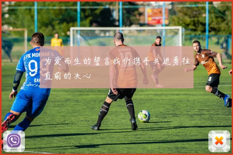 为爱而生的誓言我们携手共进勇往直前的决心