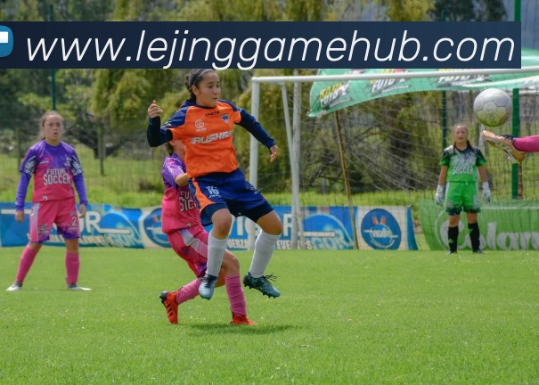 App Interface Preview